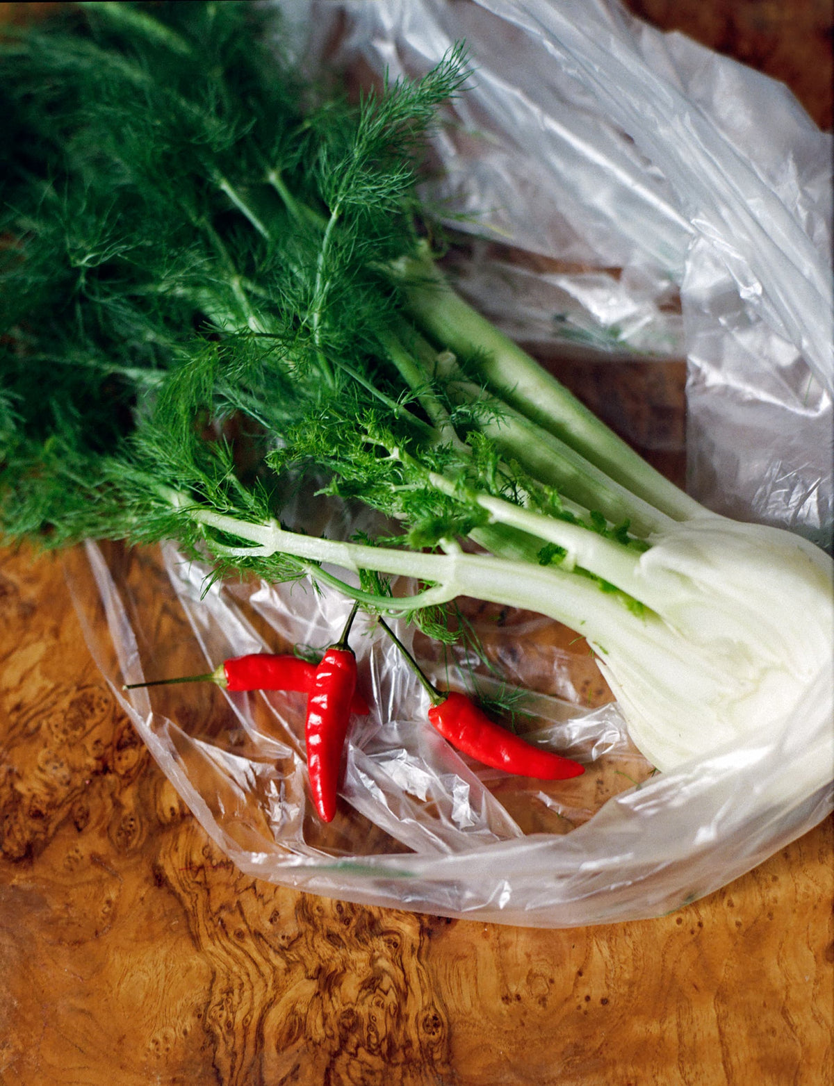 Spicy Tomato with Fennel